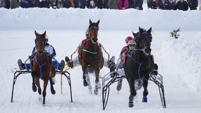 加图索：必须少给挪威空间；回到圣西罗让我想起许多快乐